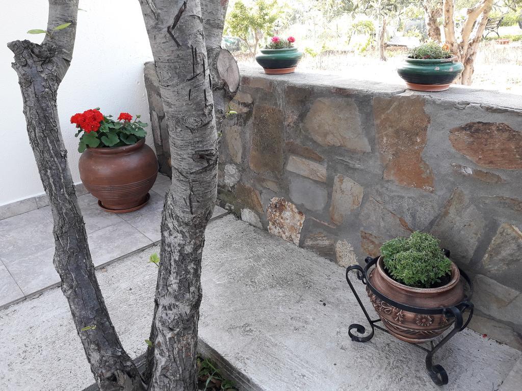Nikiforos House Áyios Nikólaos Exterior foto